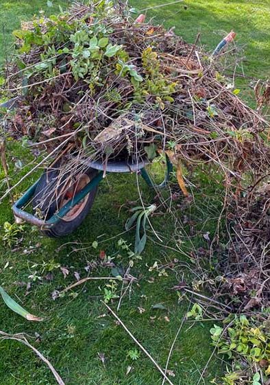 wheelbarrows full of garden waste